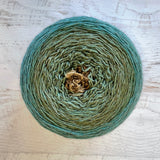 Black Butte Shawl Cake