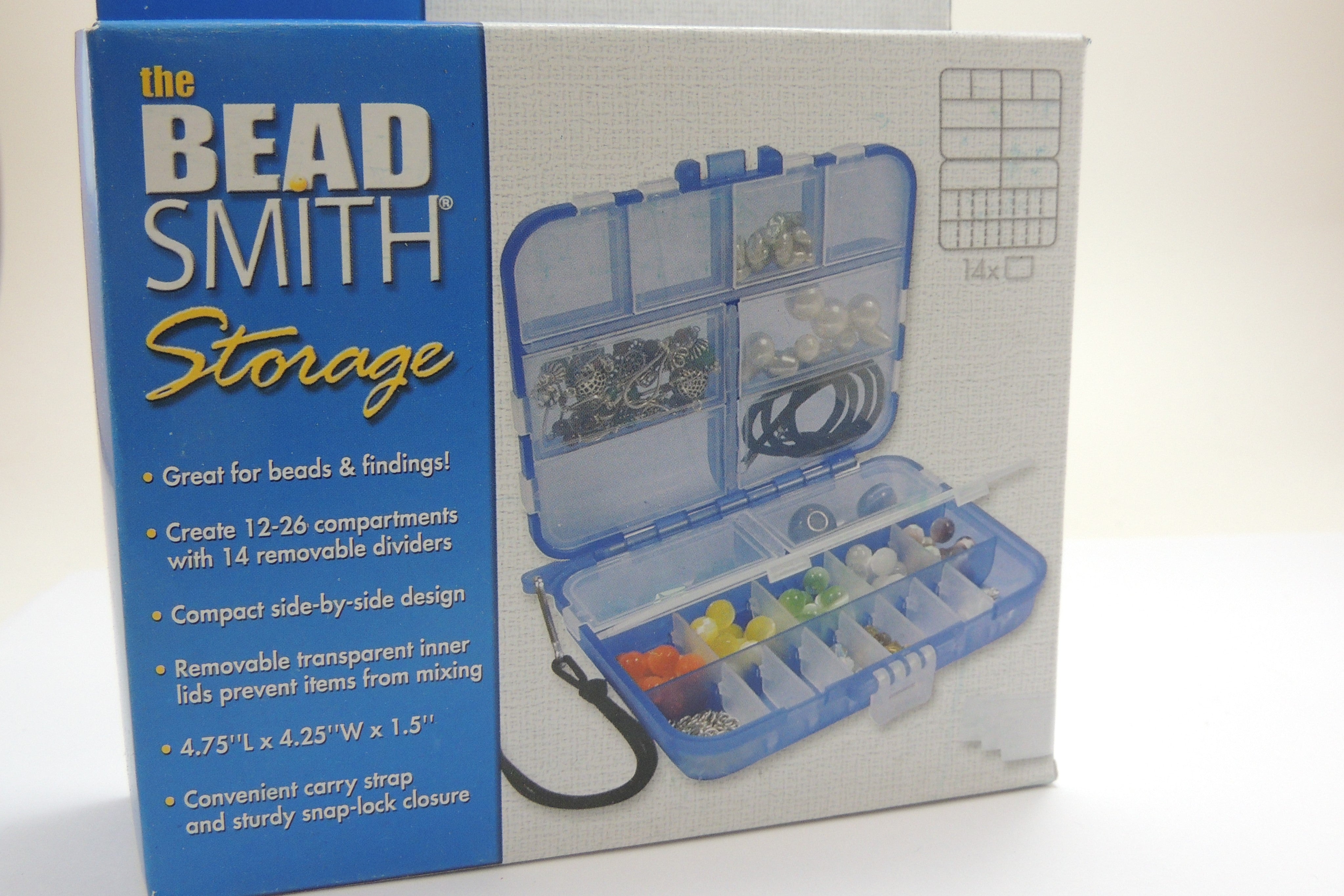 Blue Mini Storage Case